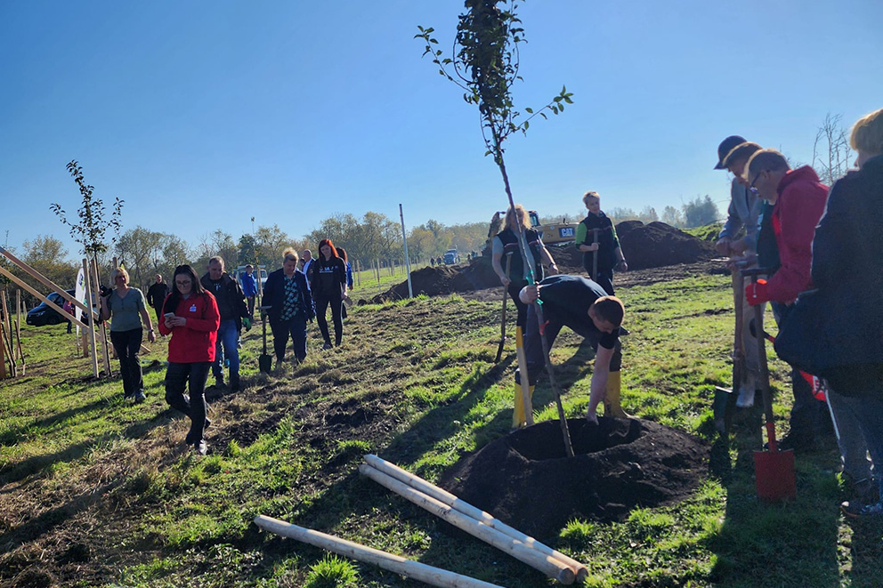 Große Gruppe Kinder und Jugendlicher beim Bäume pflanzen